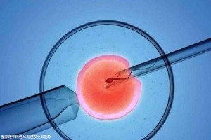 青瓷医疗